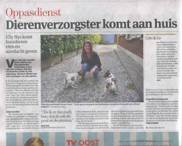 artikel gva